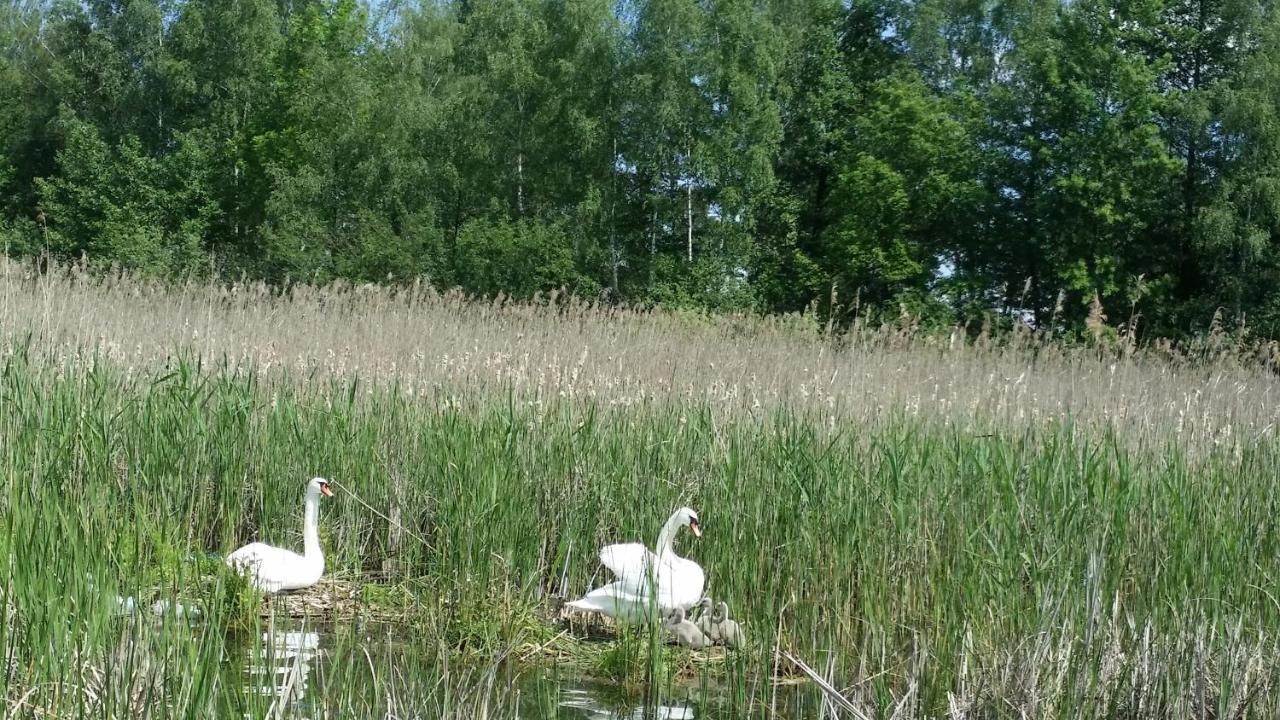 Domek Mazury - Jezioro Orzysz Exterior foto